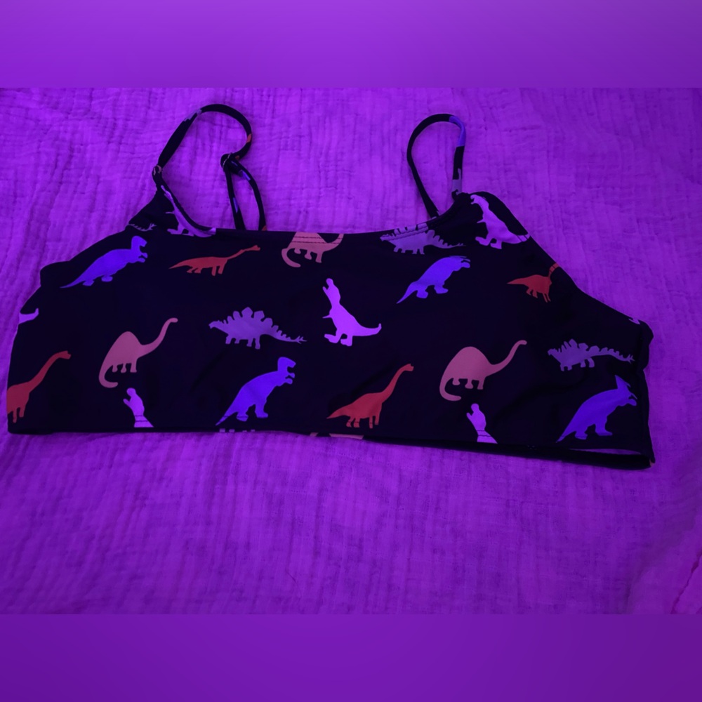 Rainbow dinosaur bathing suit